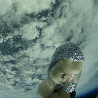 Bunny in space