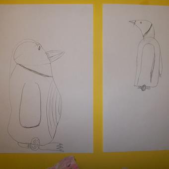 Penguine_pictures