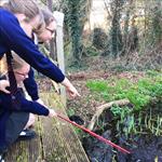 girls pond dipping