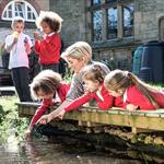 Chlidren pond dipping