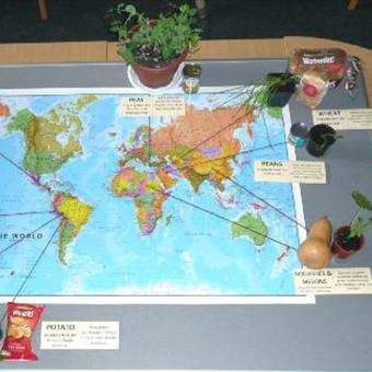 Crops of the world