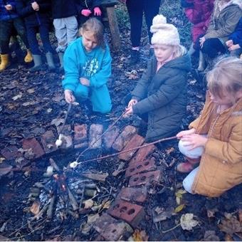 Toasting marshmallows