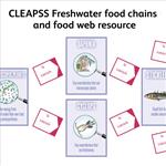 Freshwater species foodweb