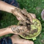 Muddy hands