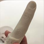 Model of a finger