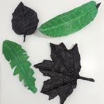 Leaf models