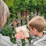 Boy looking at bee house