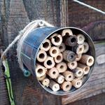 Bee House on fence