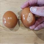 Rubbing egg shells