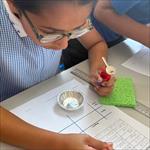 Child investigating magnetic materials